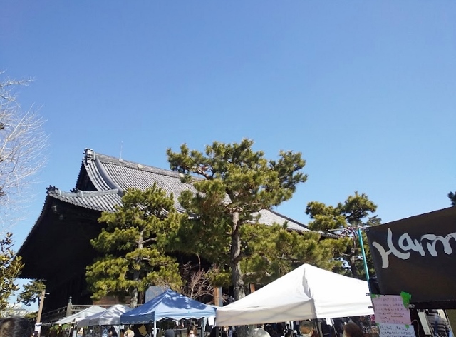 市日和