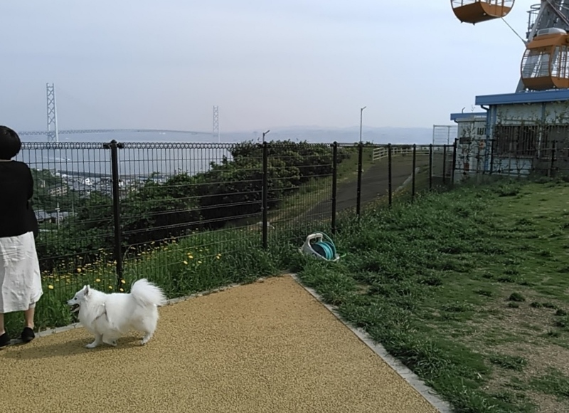 鳴門プチ旅行