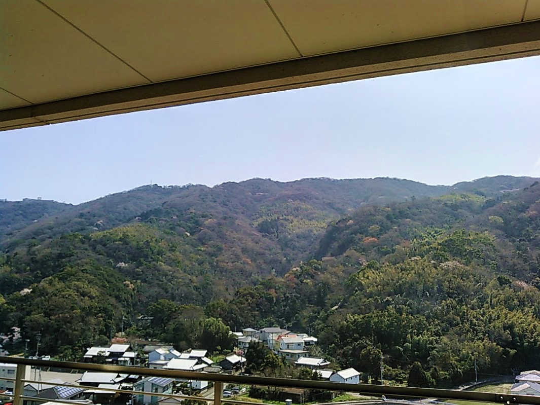 徳島へ