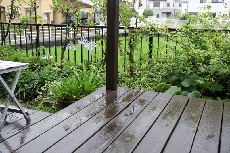 雨は降り続く・・・