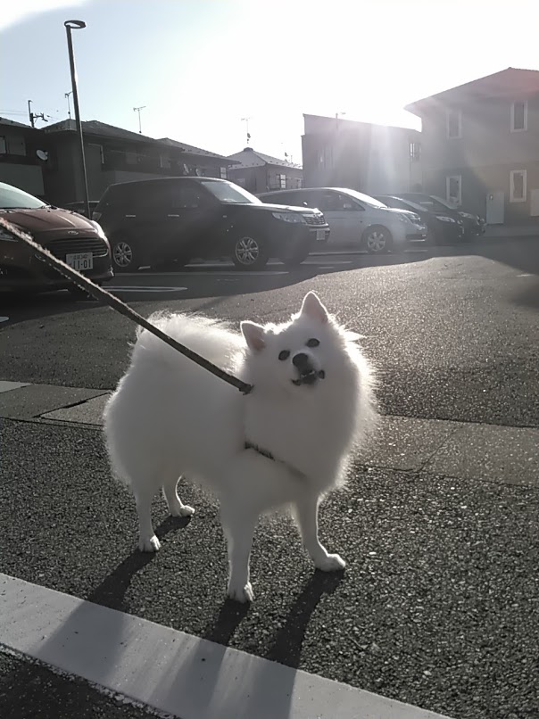 何も足さない 何も引かない