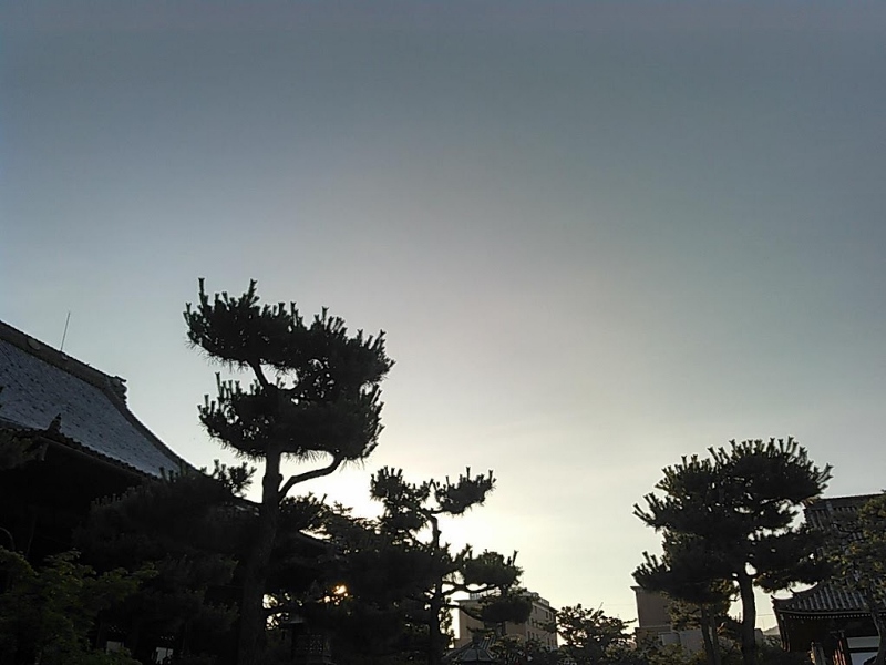 ありがとうございました