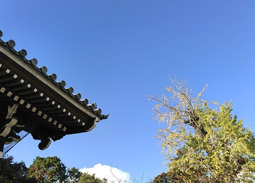 お天気に恵まれた知恩寺さんでした