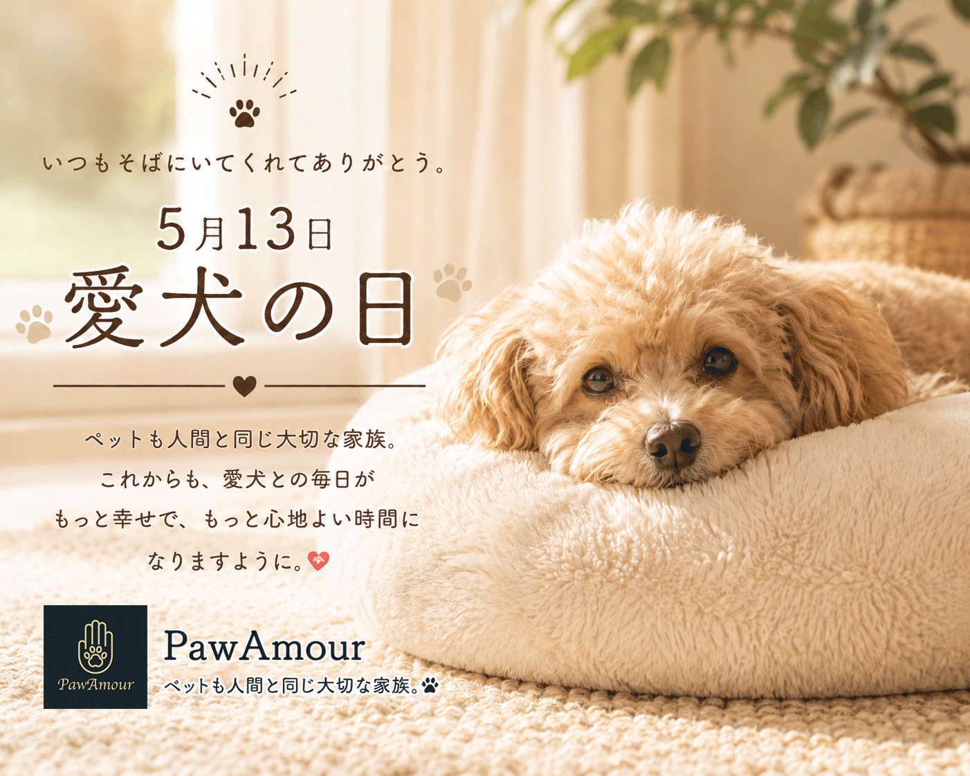 愛犬との“いつもの時間”が、いちばん大切🐶