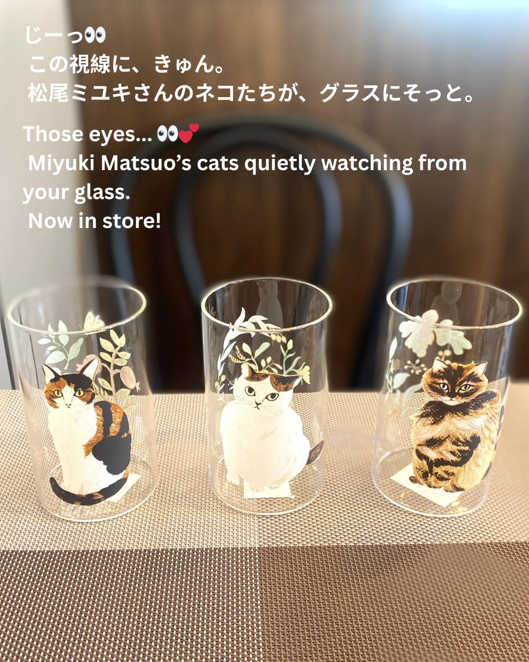 残暑を涼しく過ごす|猫の器で楽しむ夏の名残り