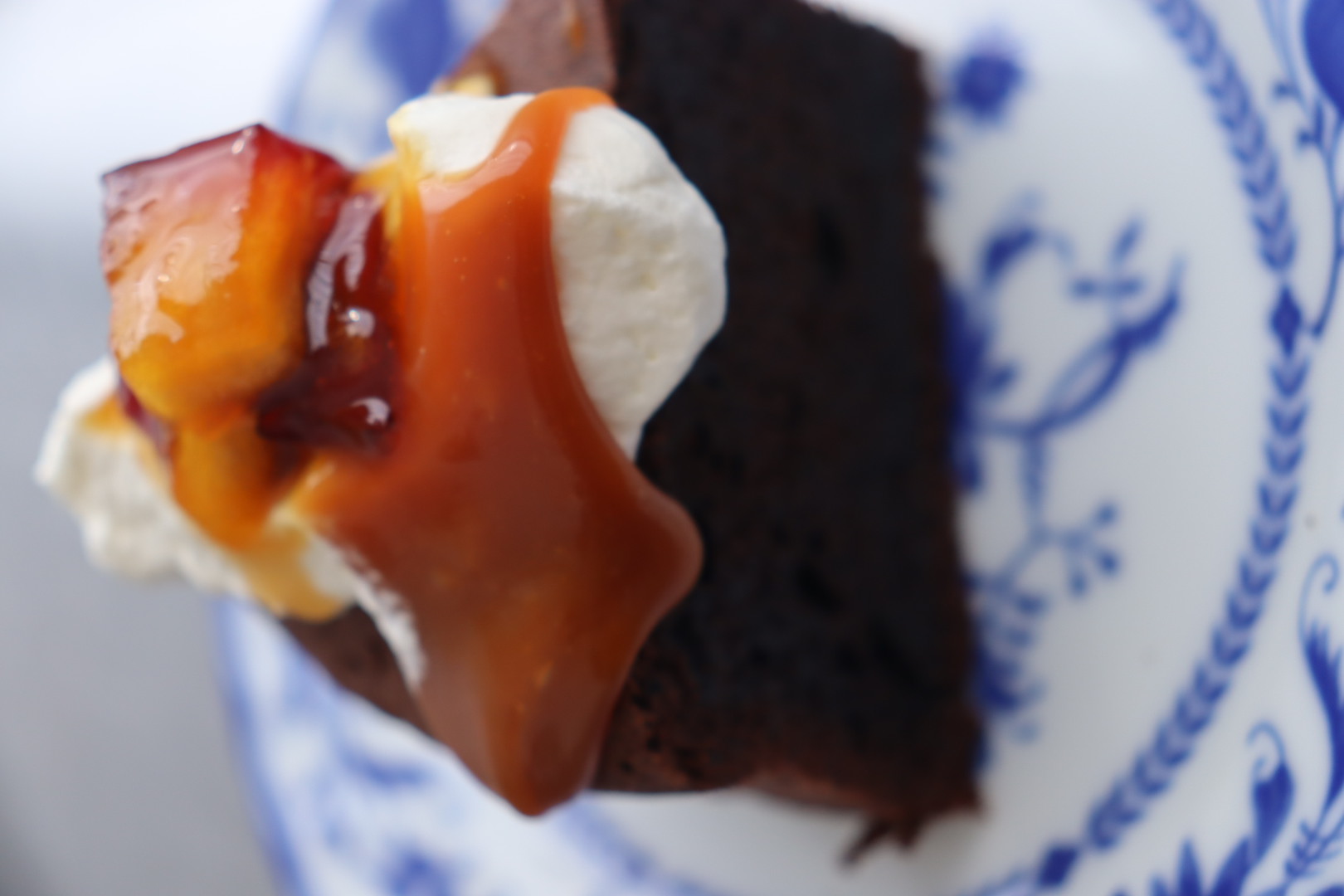 クリスマスがやってくる!