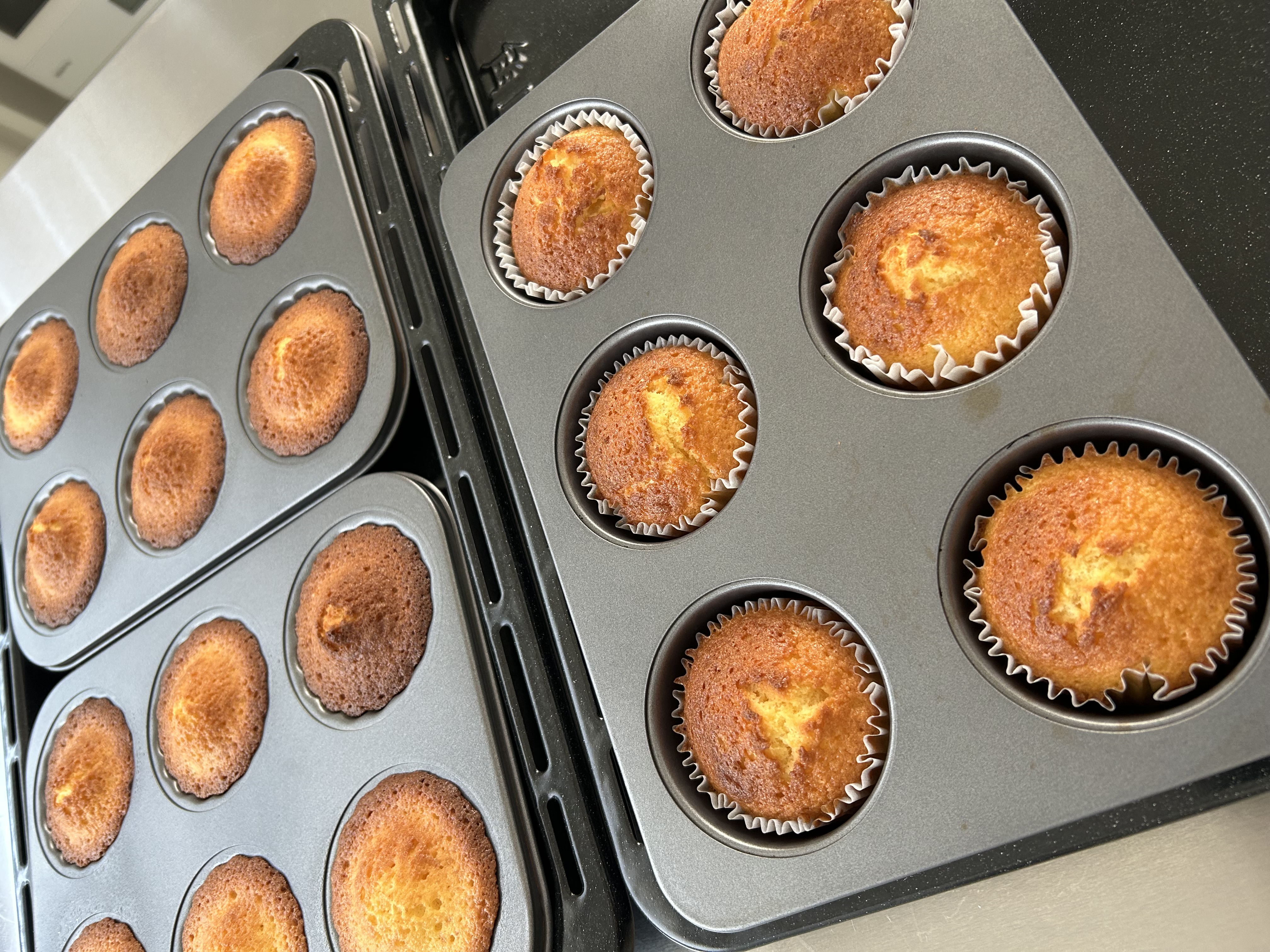 ✨オープン記念✨