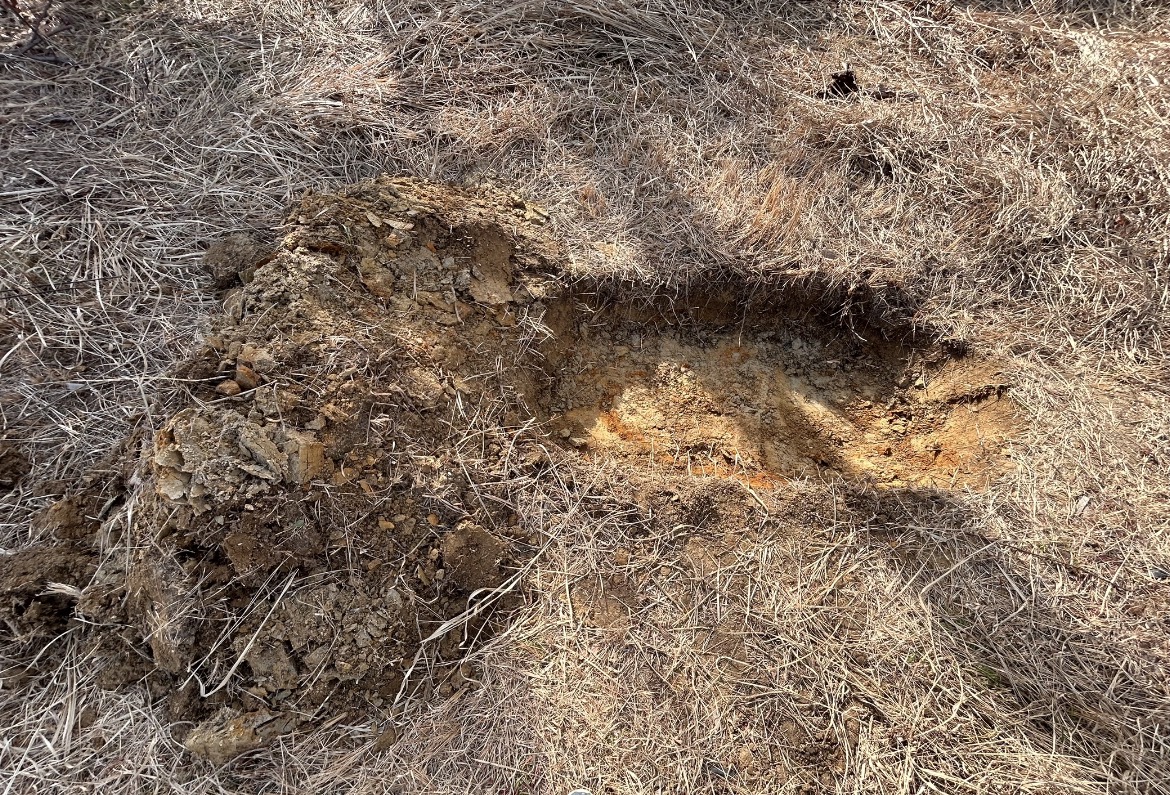 今年の自家産玉サバの生産に向けて野池を手掘り