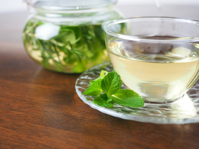 ドイツで大人気のエキナセア