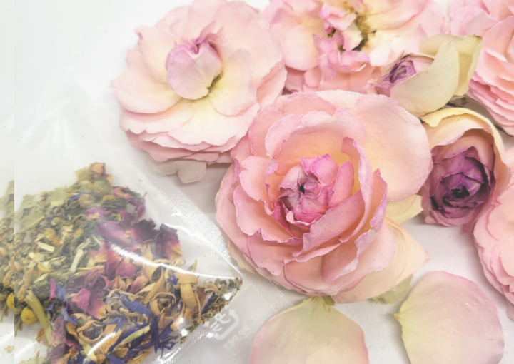 育てたハーブをお茶にしよう