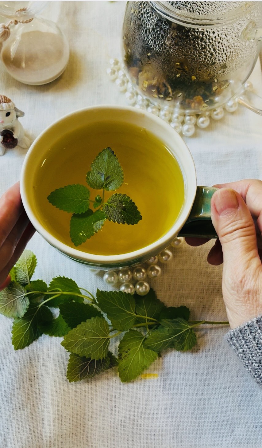 ハーブ×緑茶の和ハーブティーはいかが？