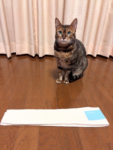 【着用者の声】「とろける感覚が新鮮」「とにかく肌触りがよい」ovonirモニターレビューをご紹介