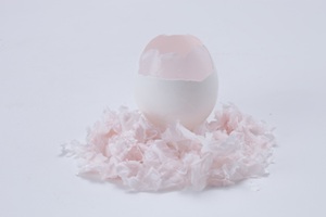 WWDに卵殻膜繊維「ovoveil」が掲載されました。
