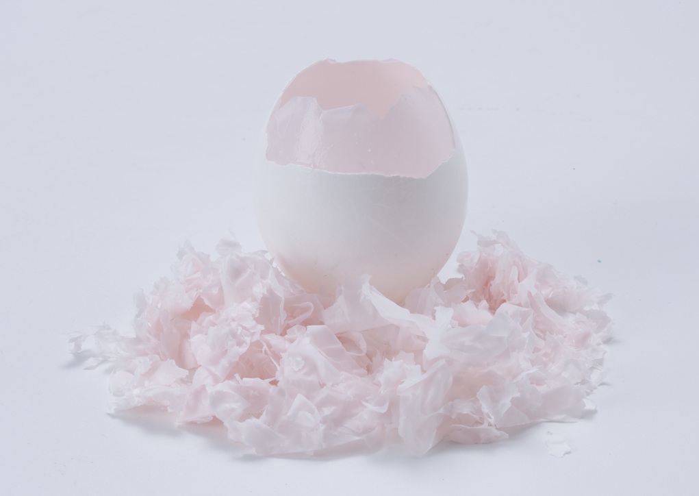 卵殻膜繊維「ovoveil（オボヴェール）」について