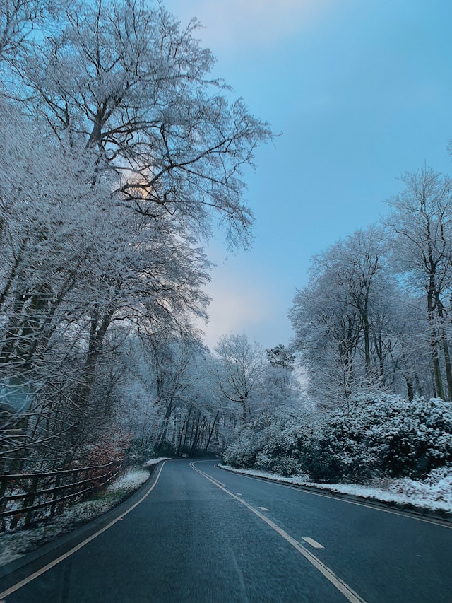 スタッドレスにしましたよ。