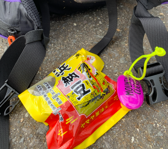 浜納豆と言う行動食