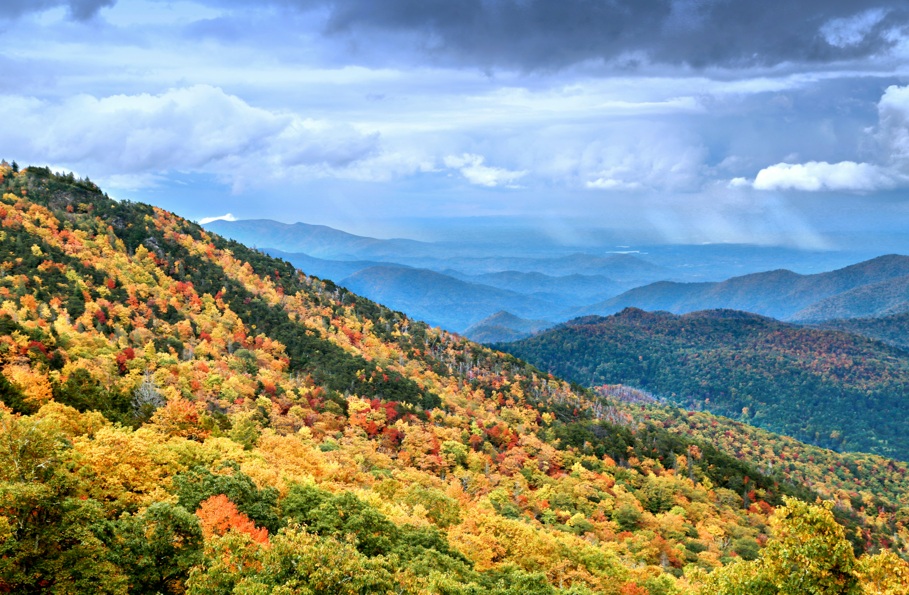山の紅葉はキレイらしい。