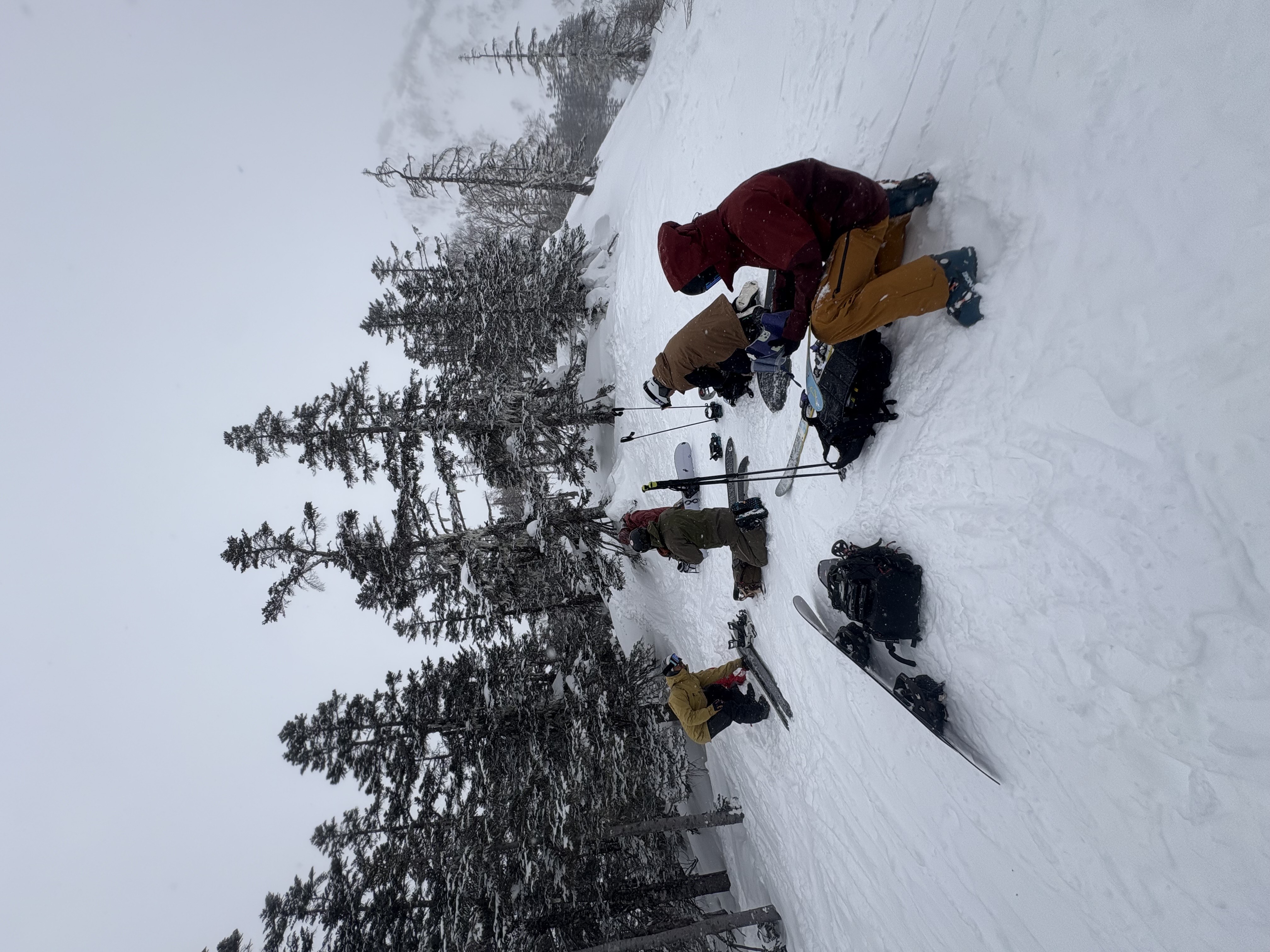 行ってきました。白馬でバックカントリースキー。