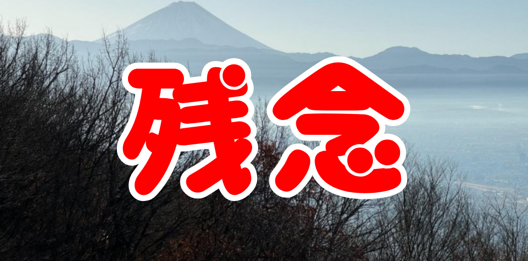 あらら～！クマさん～！