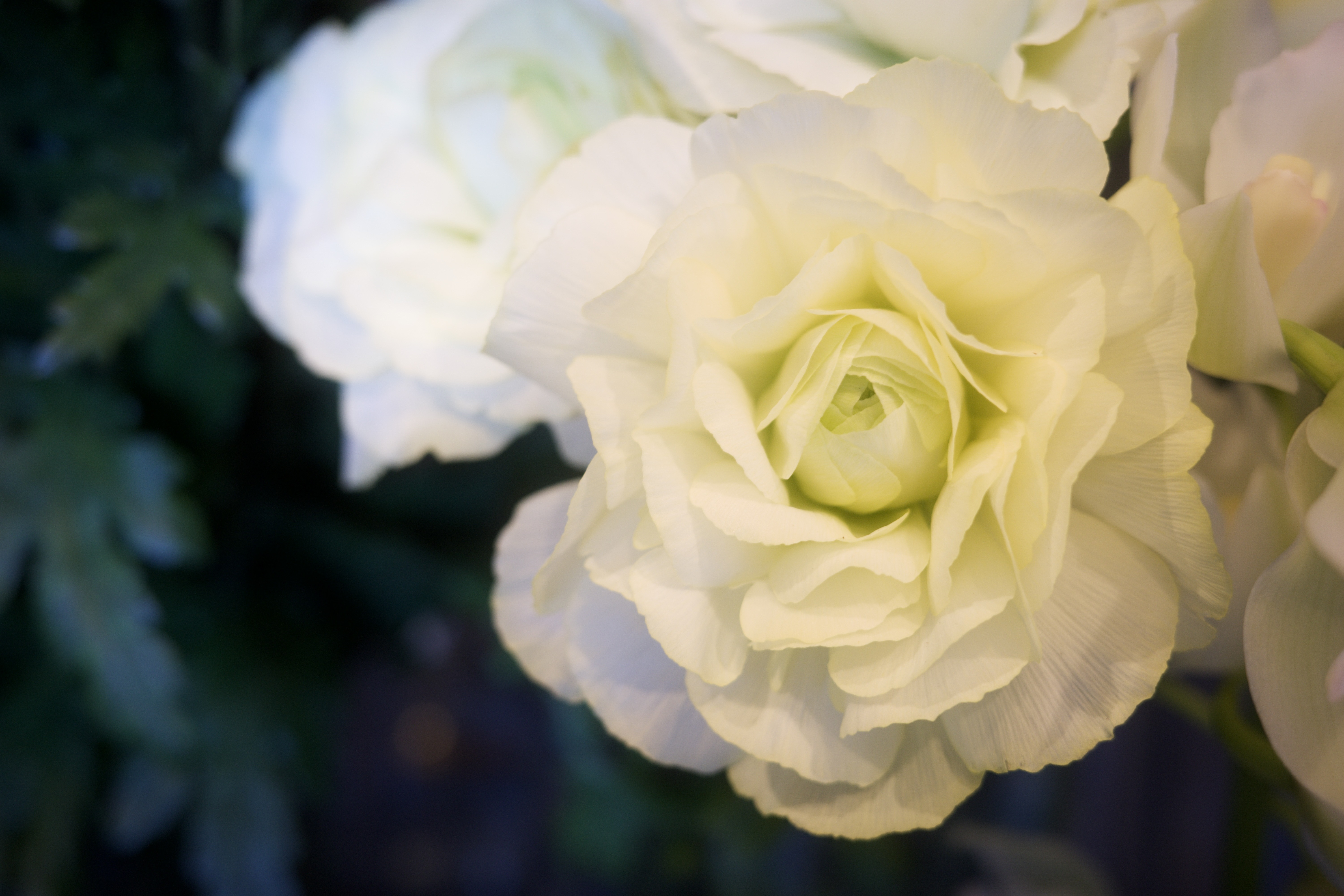 #11 アクティブ・メディテーションで実現する集中と革新 #PAST BLOG 2023