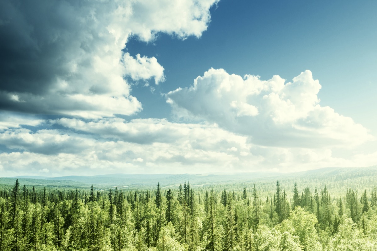 #20 食事・運動・睡眠の黄金比：ホルモンバランスで導く健康ライフ ＃PAST BLOG 2023