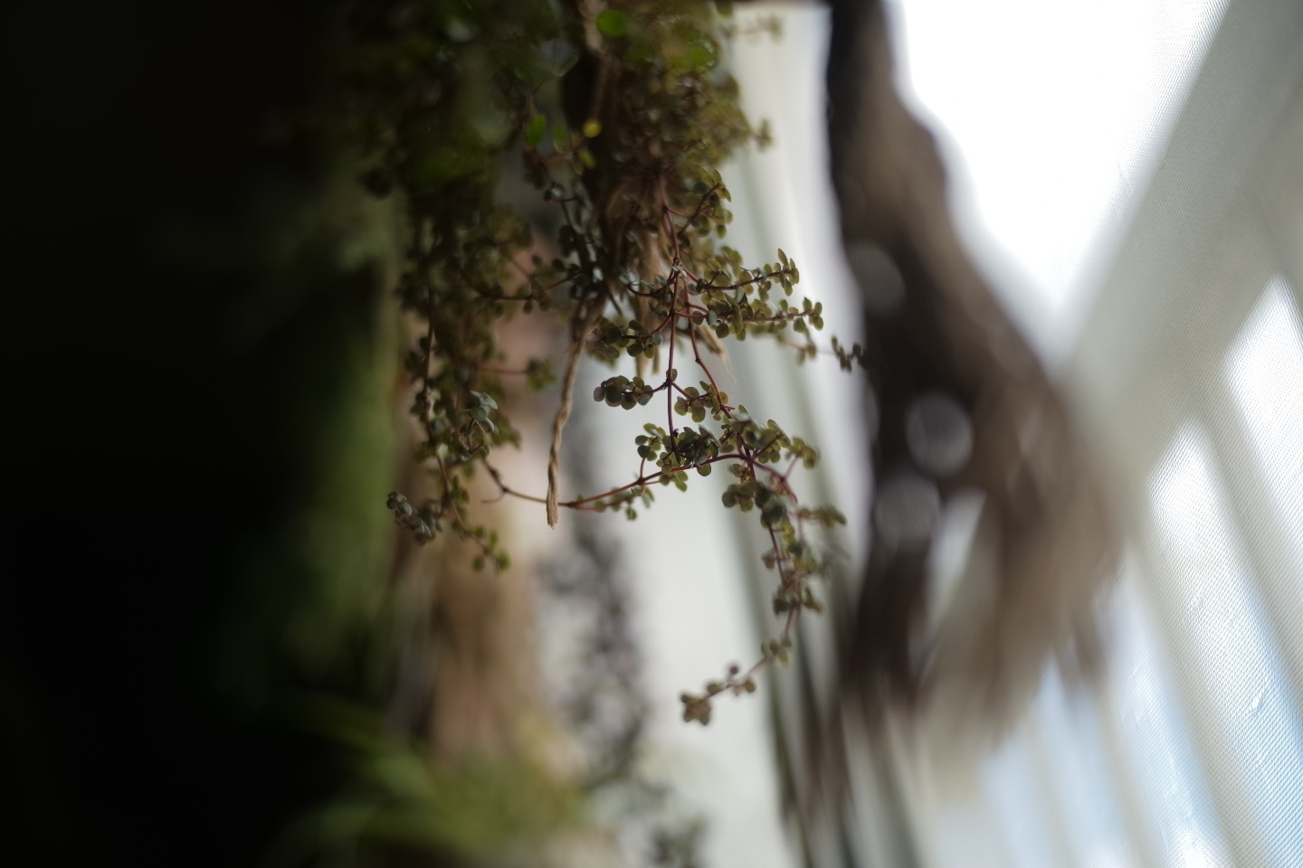 #13 ポジティブな感情へのシフトで可能性を広げる #PAST BLOG 2023