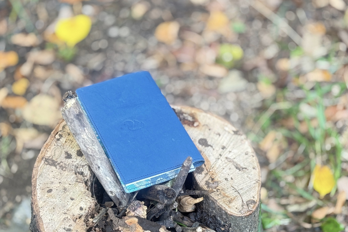 ”ちょうどいい”って、心地いいーBranchシリーズの魅力