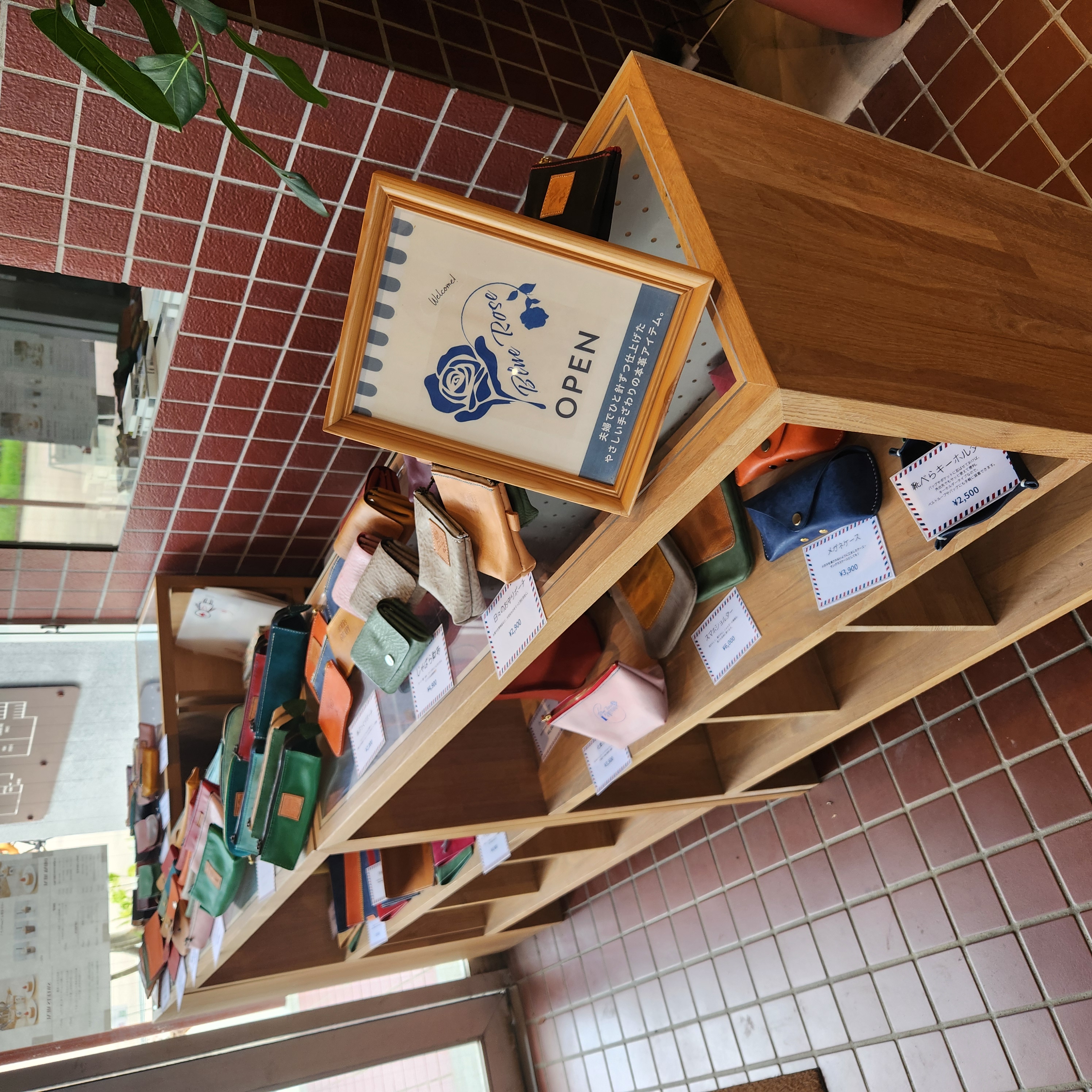 🩵【お知らせ】11月16日（日）橘公園でPOP UP出店します！