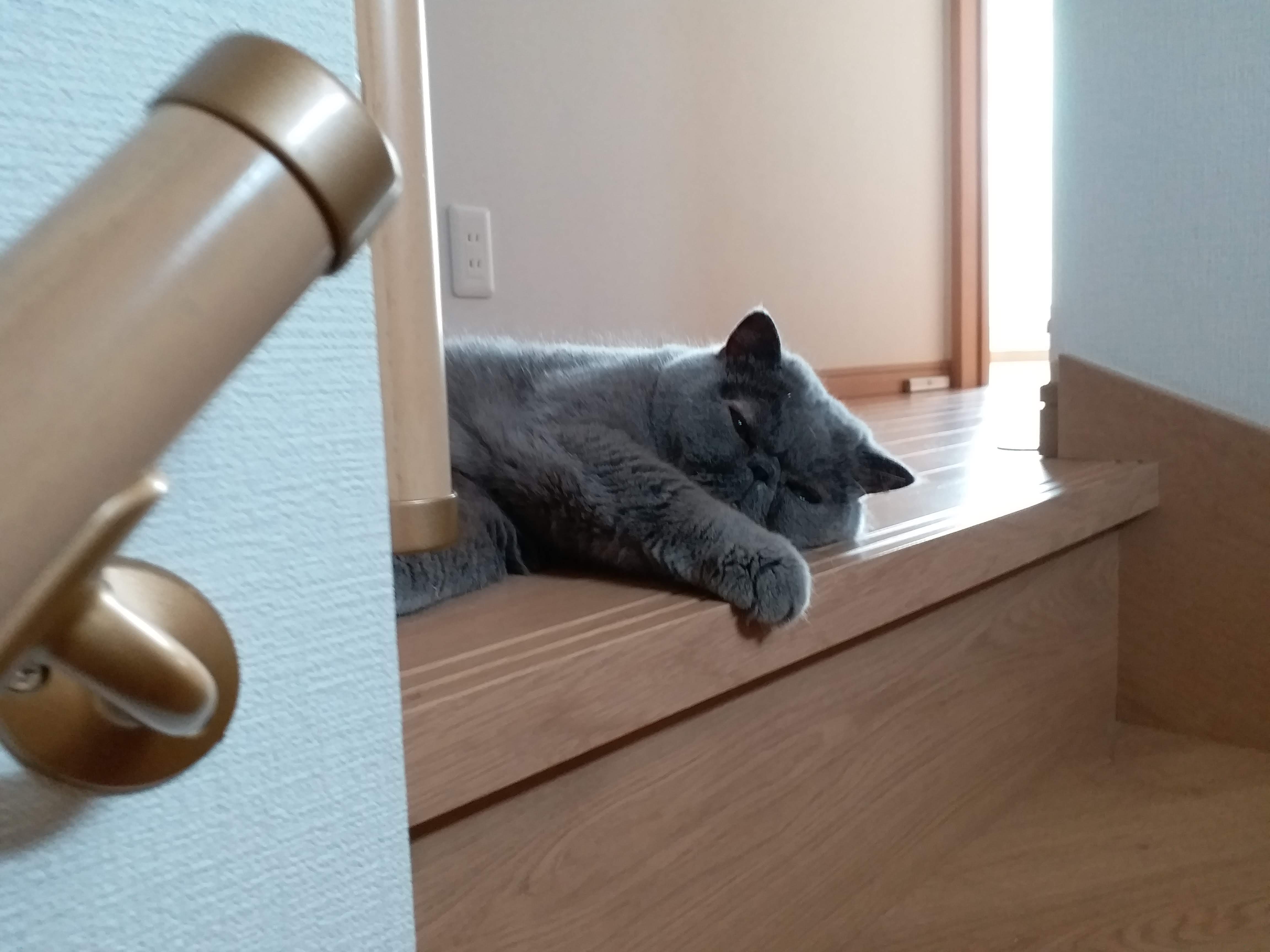 次男のマリンです。