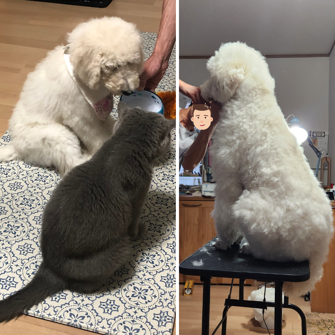末っ子のアイスクリームです。
