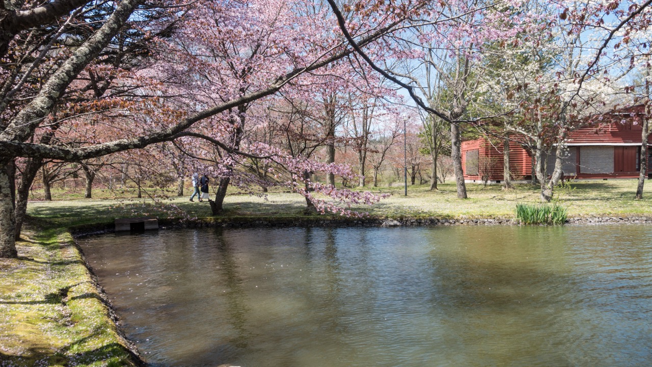 ​桜の季節におすすめ！春のお出かけジュエリー4選｜かわいいピアスとシルバーアクセサリー​
