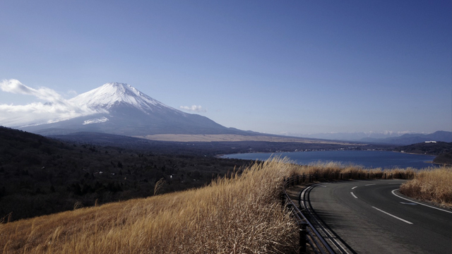 TWIY DOGS in 山中湖｜SUGEEZ BOOST STORE