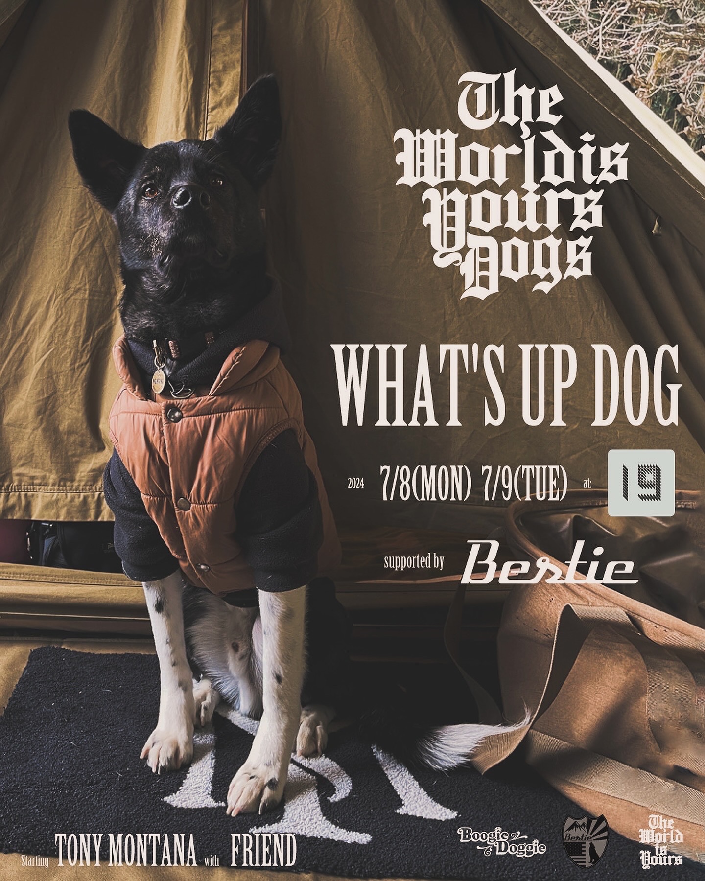 TWIY DOGS presents WHAT'S UP DOG #1