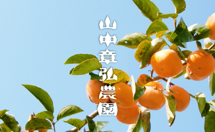 10月5日より営業開始いたします(発送についてのご案内)