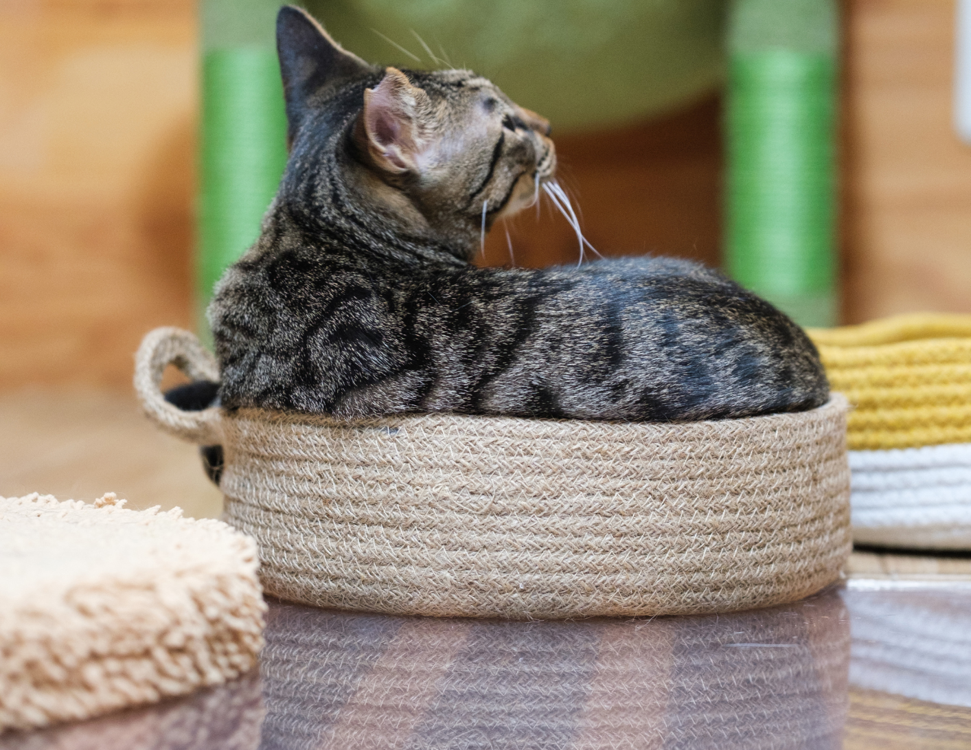 SUNMAC公式ショップより、はじめてのご案内