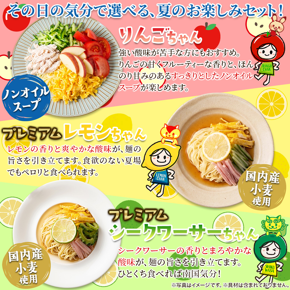 【ポスト投函】冷やし中華3種類食べ比べ5食セット