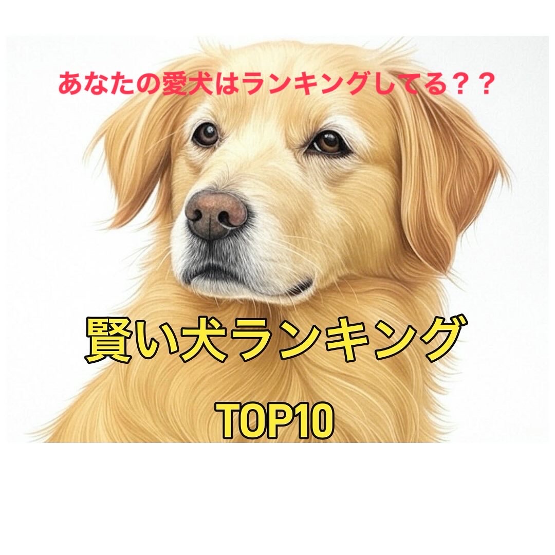 賢い犬ランキング