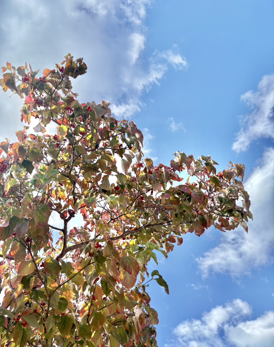 季節が変わるように、自分にかえる時間。