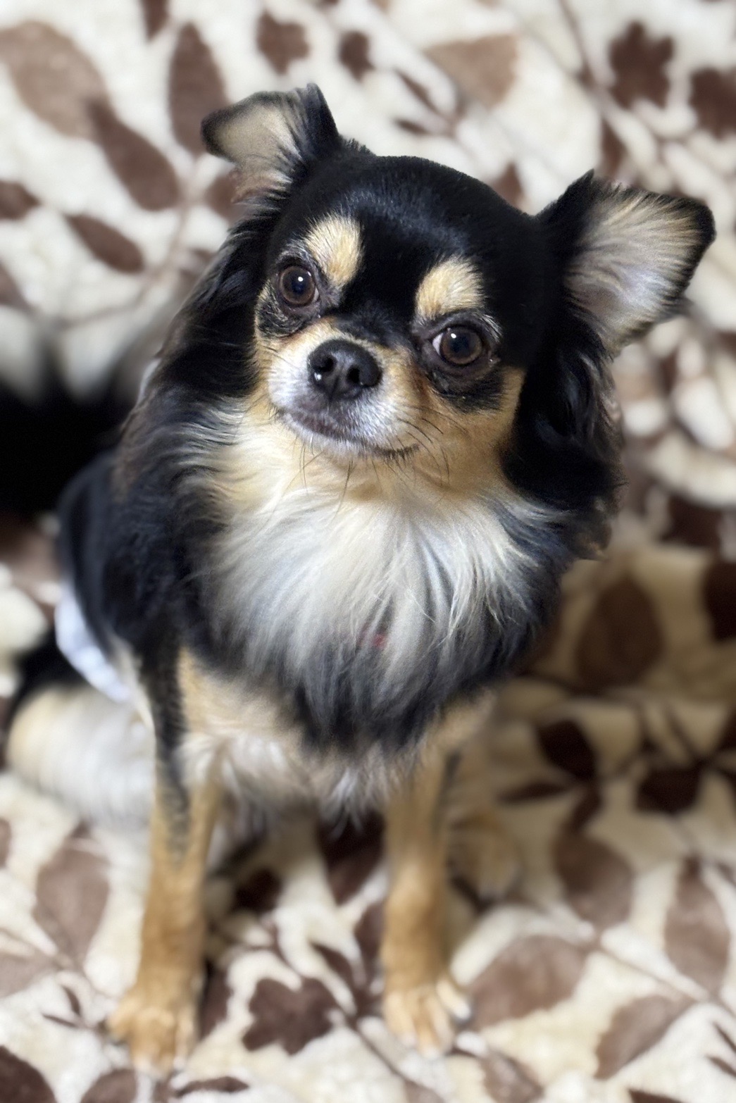 ちょっと徳を積んだ朝