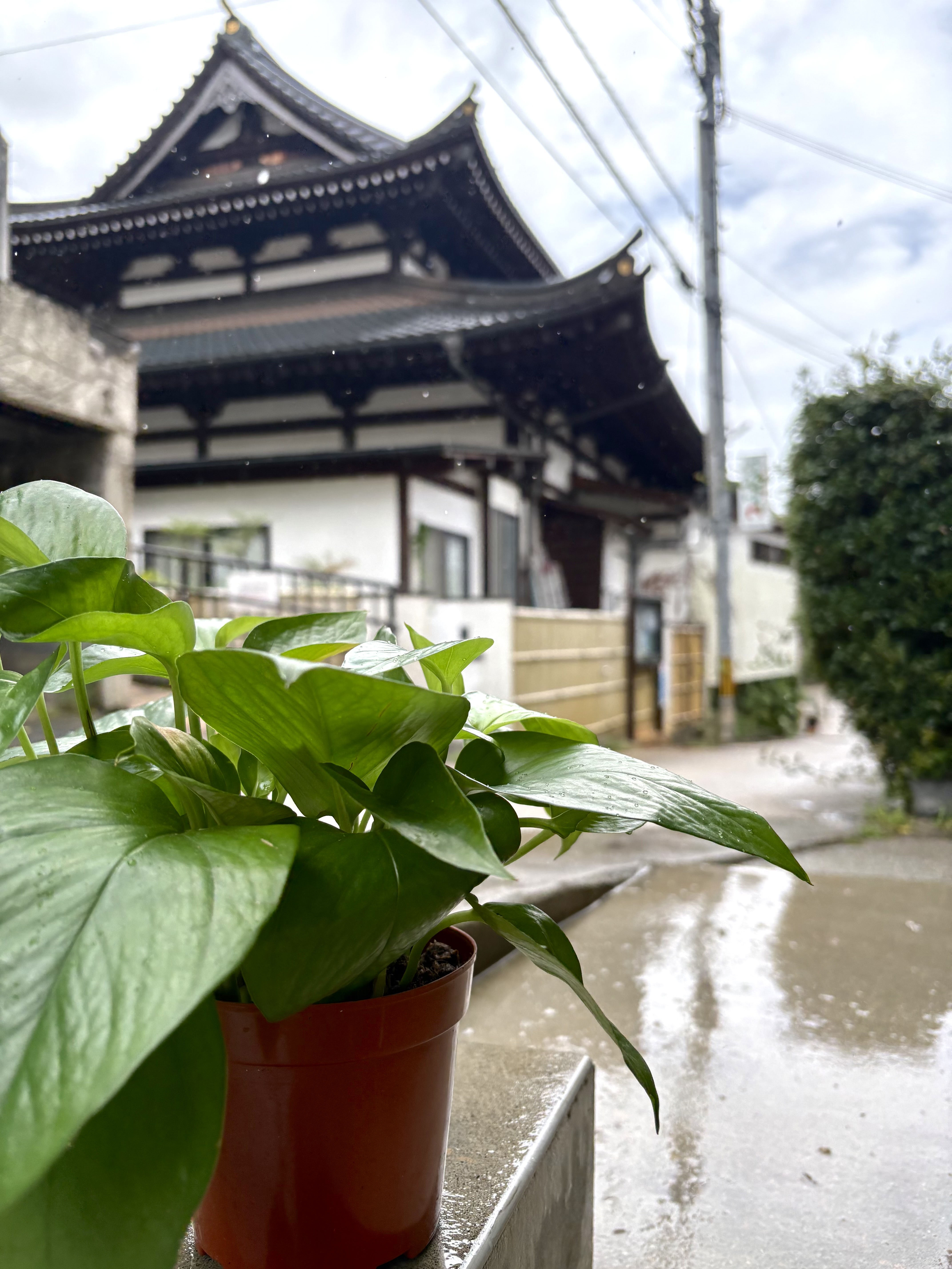 おすすめ観光スポット♪|雨の日の有馬温泉