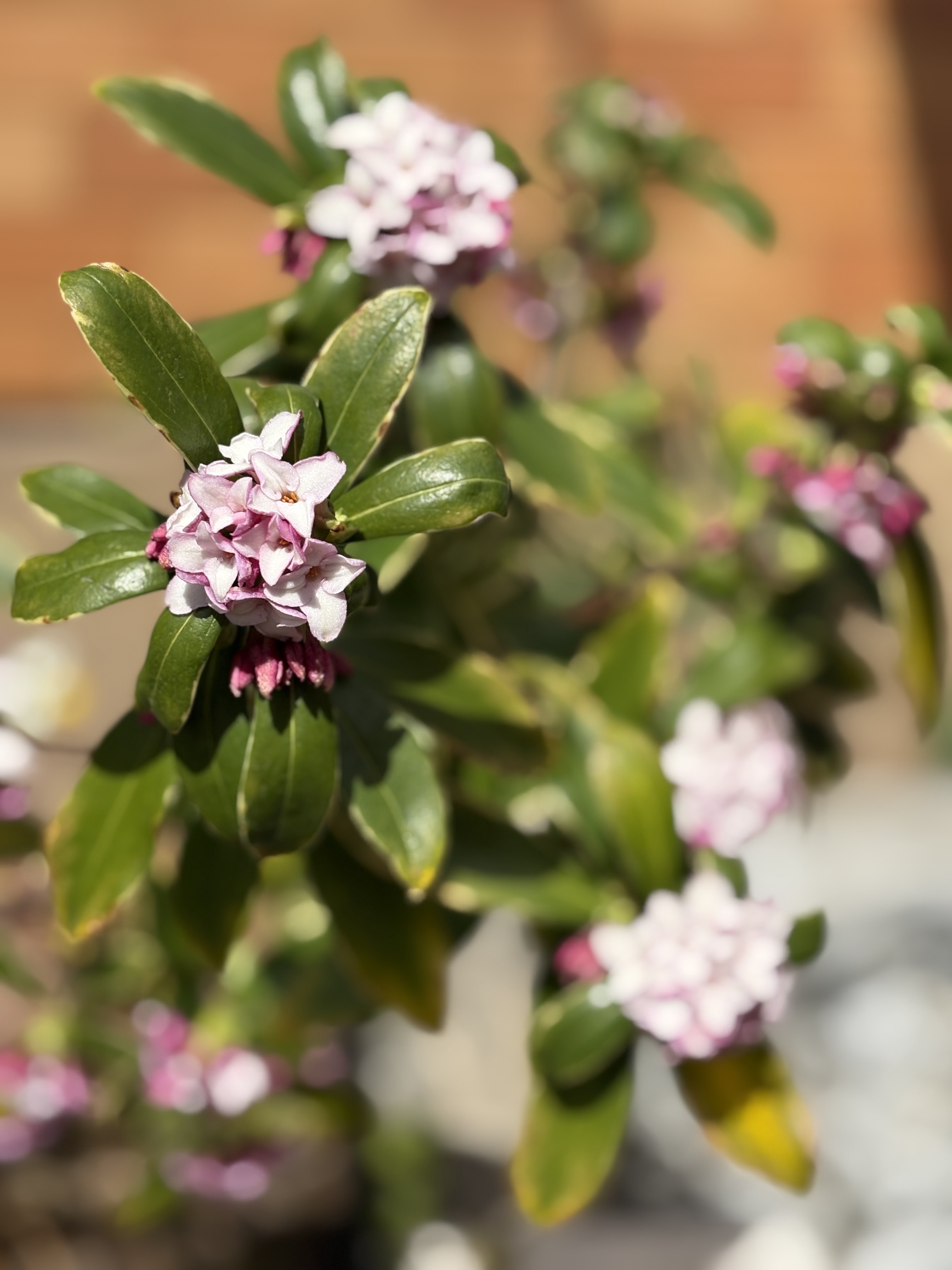 卒業シーズンに思い出す京都旅。