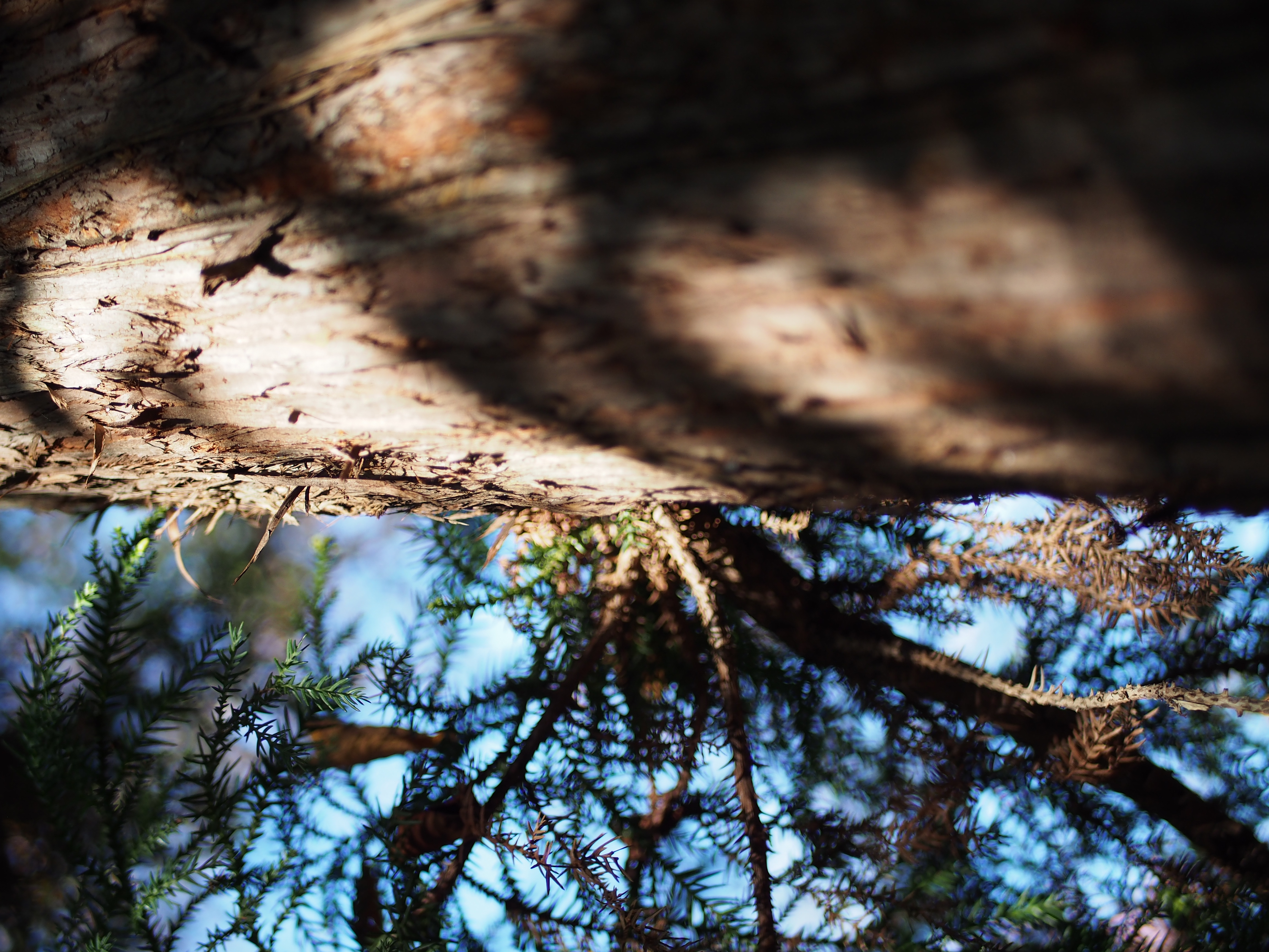 ドリップバッグのラインナップとパッケージデザインを一新しました