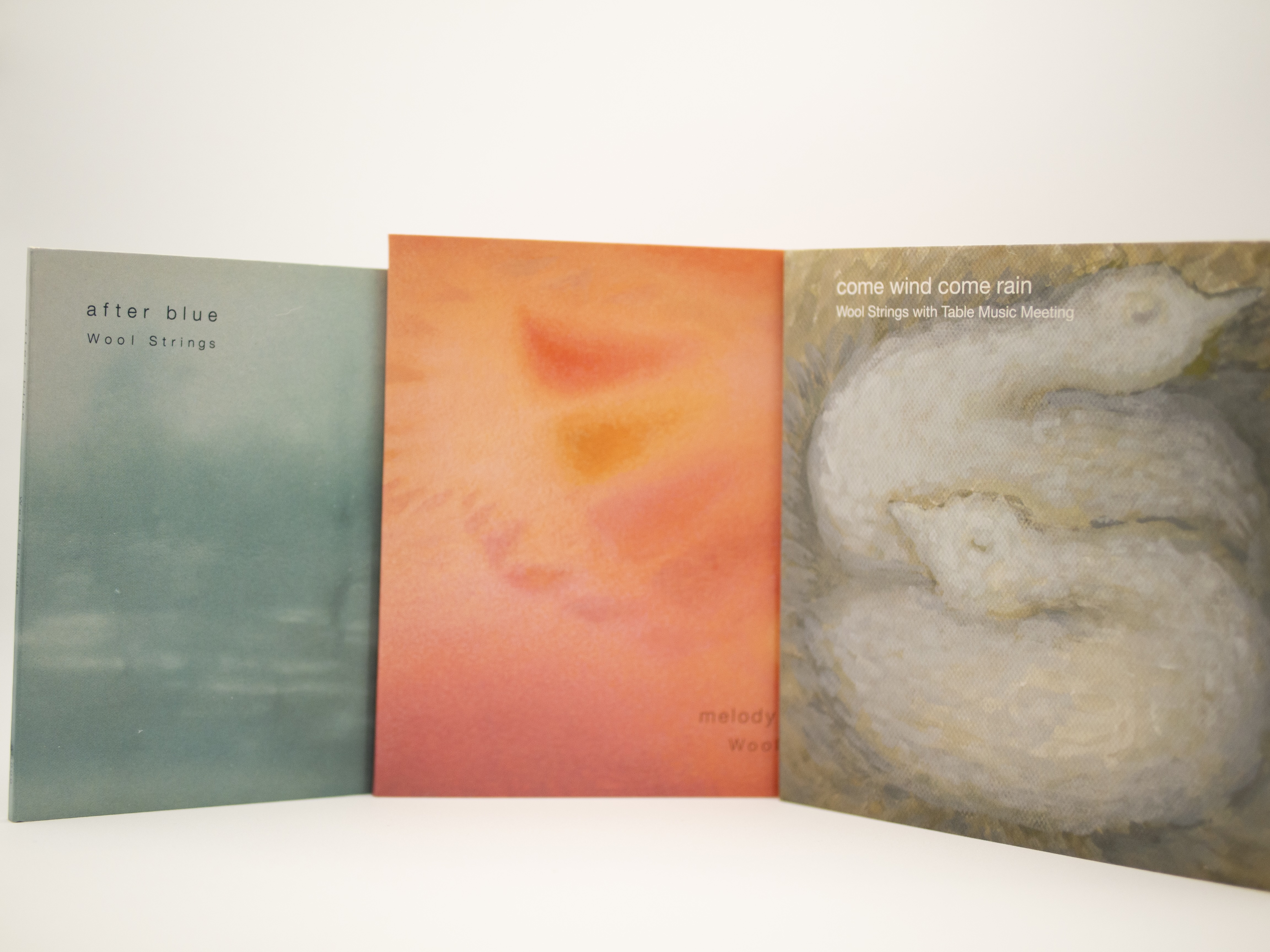 Wool Strings旧タイトル半額キャンペーン 2025 SPRING