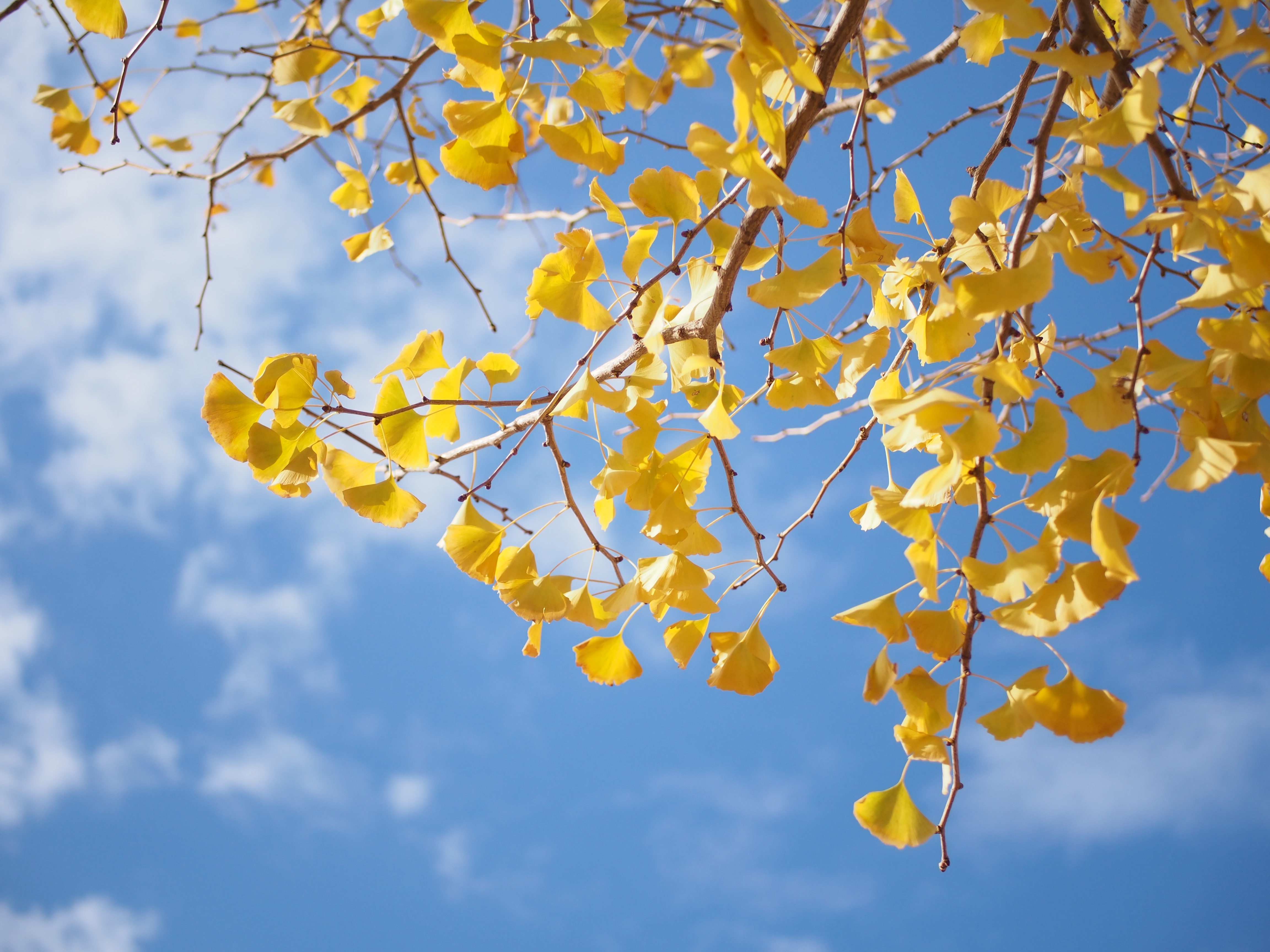 a quiet year - リリースのお知らせ