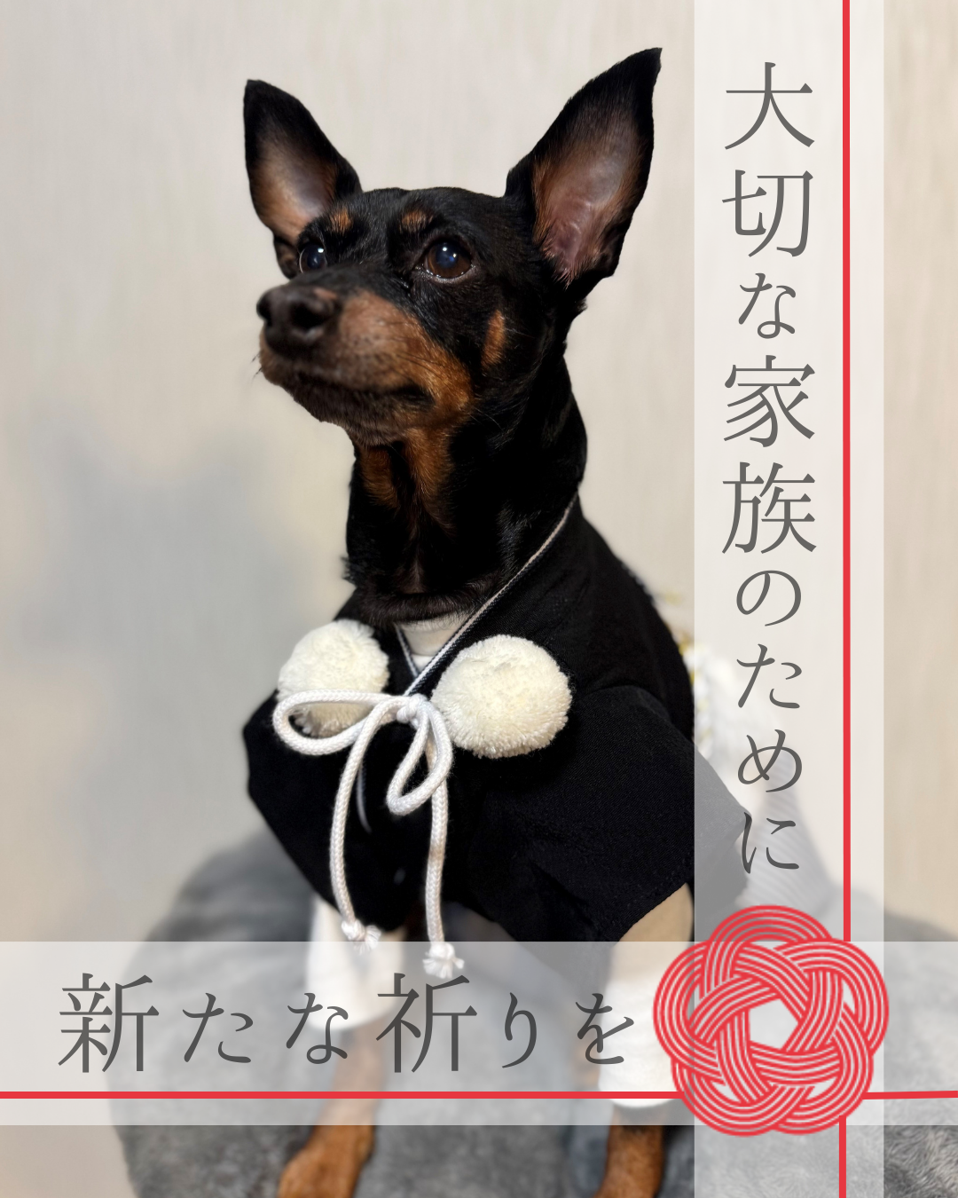 ペット祈祷《うちの子祈祷》について