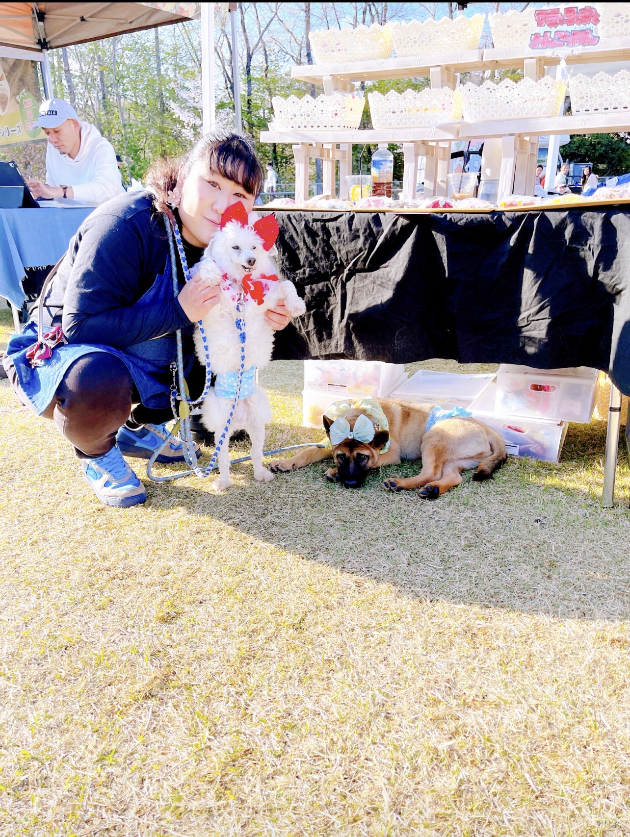 ダムパークいばきた