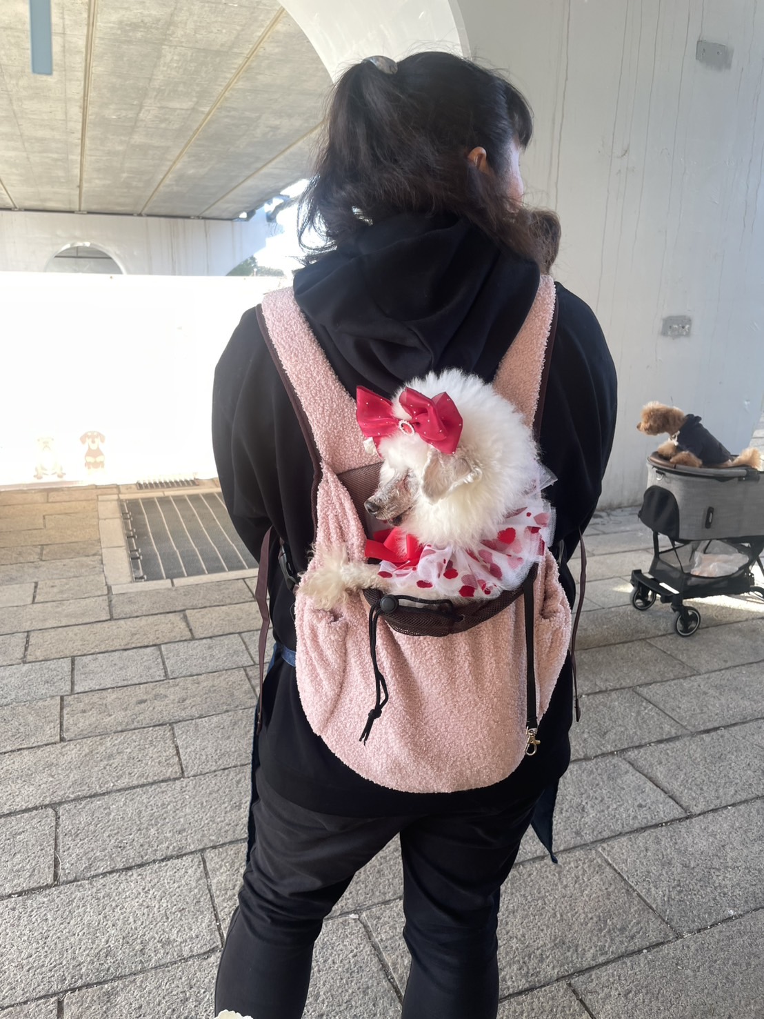 わんわんお疲れモード