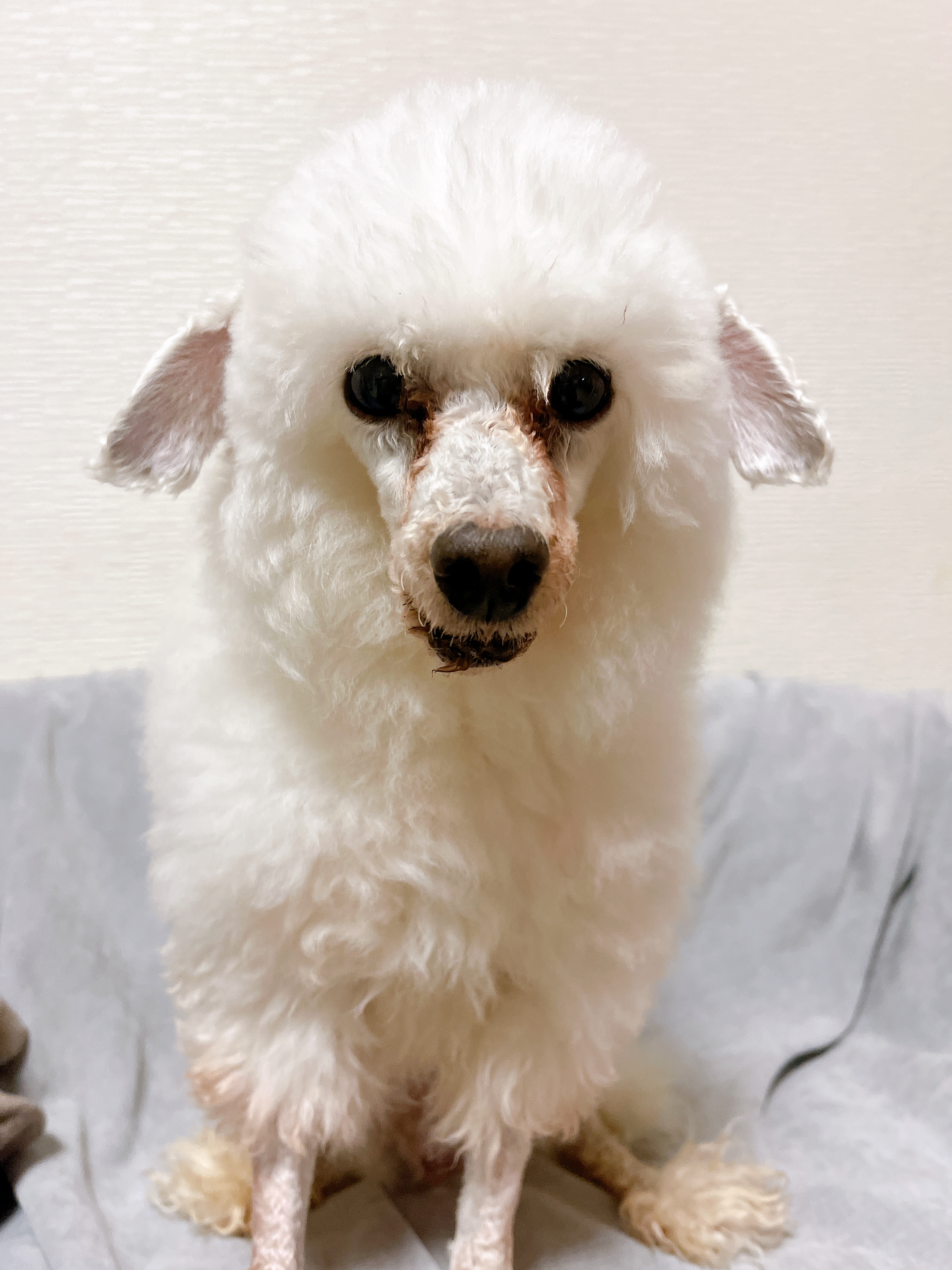 2025マルシェありがとうございます