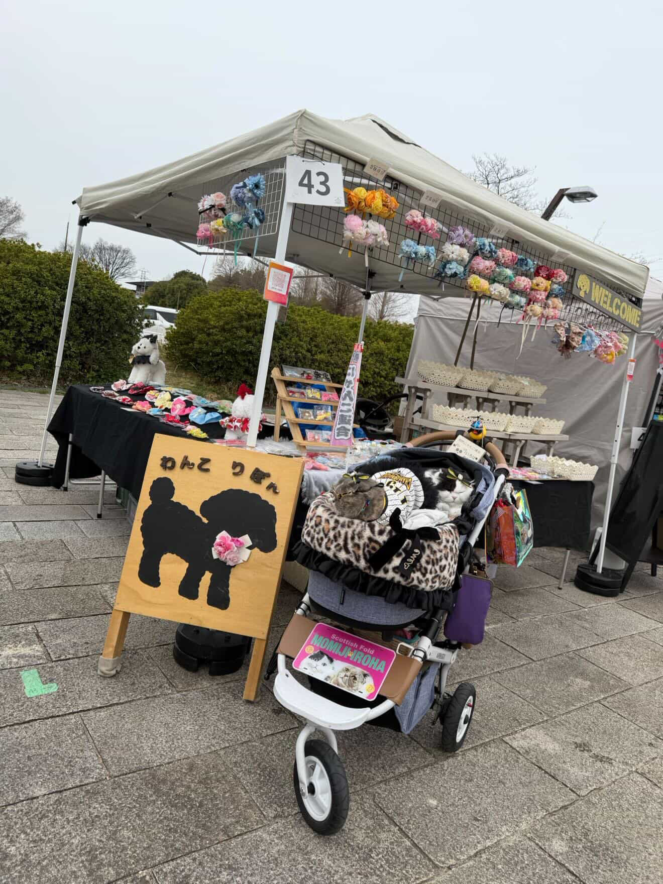 にゃんこりぼんに改名！？