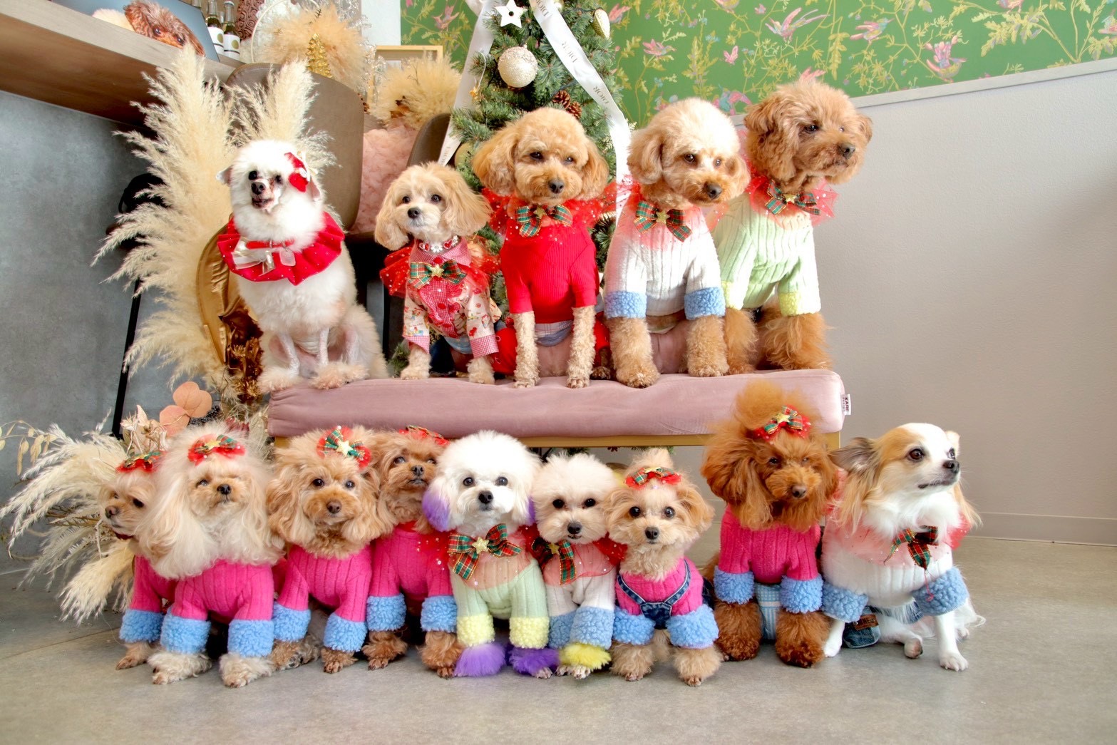 お誕生日会してもらったよ